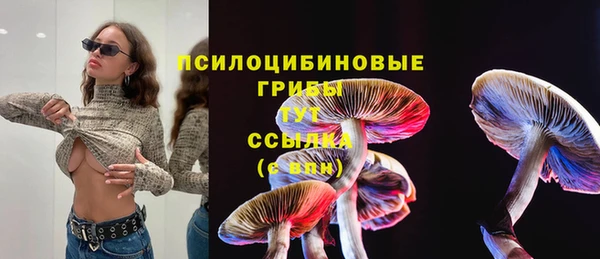 героин Алзамай